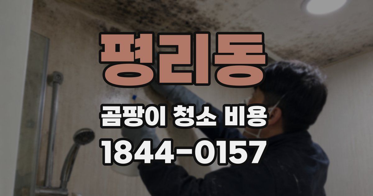 평리동 곰팡이 청소 비용