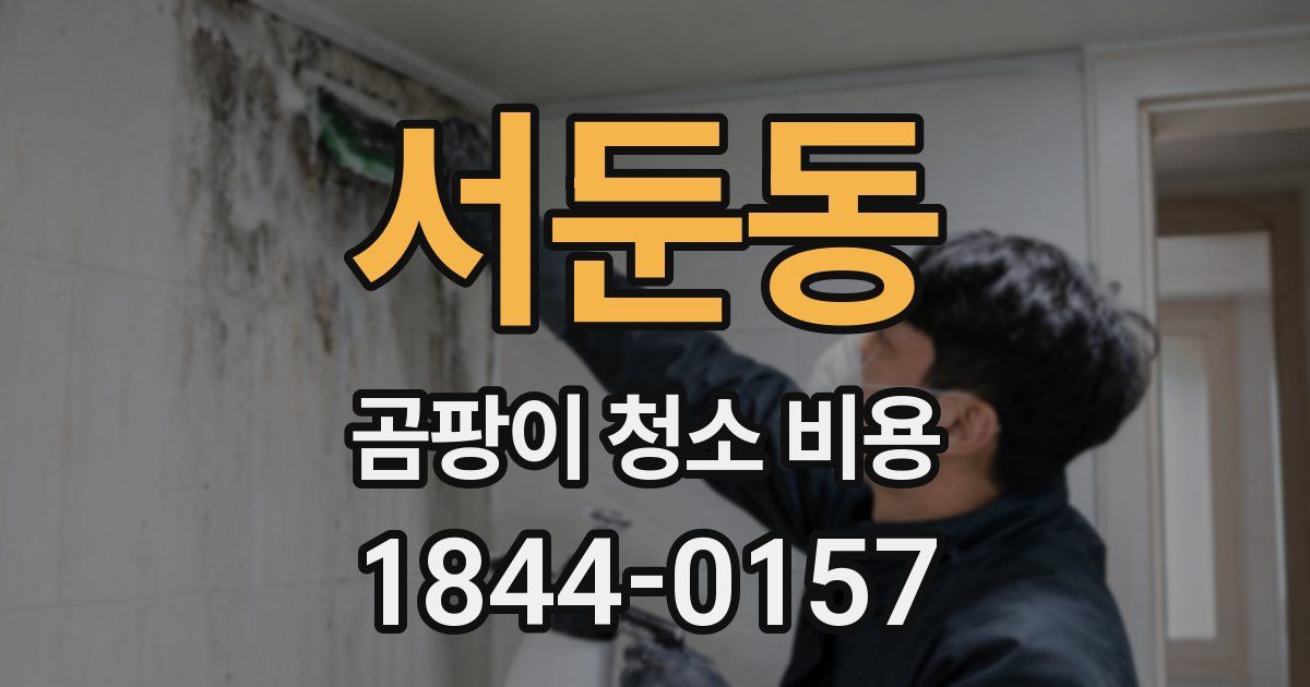 서둔동 곰팡이 청소 비용