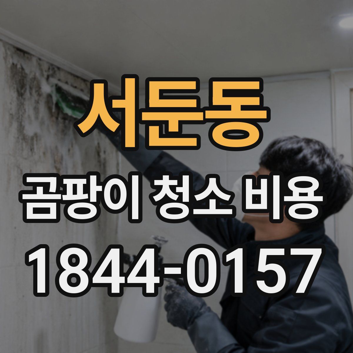 서둔동 곰팡이 청소 비용