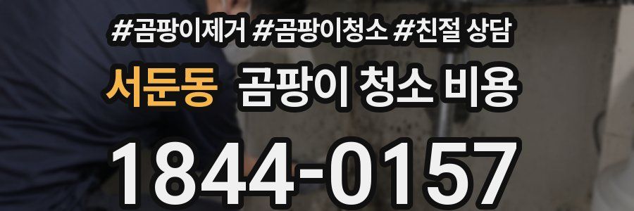 서둔동 곰팡이 청소 비용