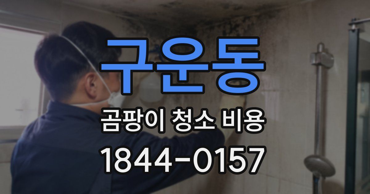 구운동 곰팡이 청소 비용