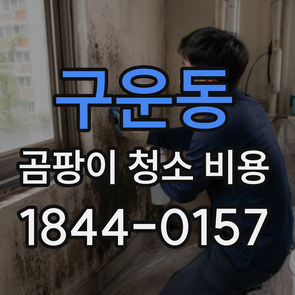 구운동 곰팡이 청소 비용