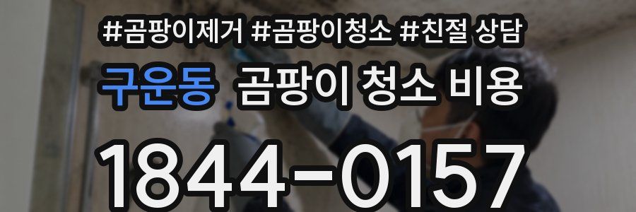 구운동 곰팡이 청소 비용
