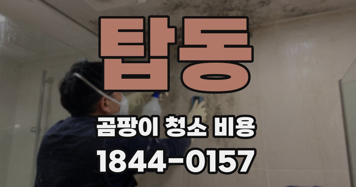 탑동 곰팡이 청소 비용