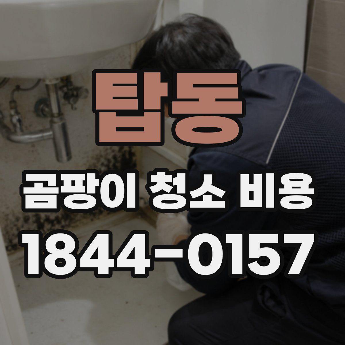 탑동 곰팡이 청소 비용
