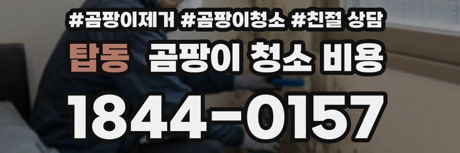 탑동 곰팡이 청소 비용