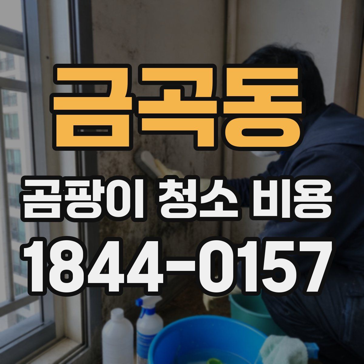 금곡동 곰팡이 청소 비용