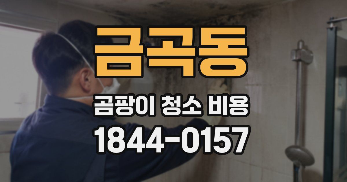 금곡동 곰팡이 청소 비용