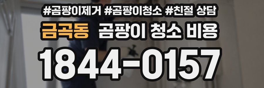 금곡동 곰팡이 청소 비용
