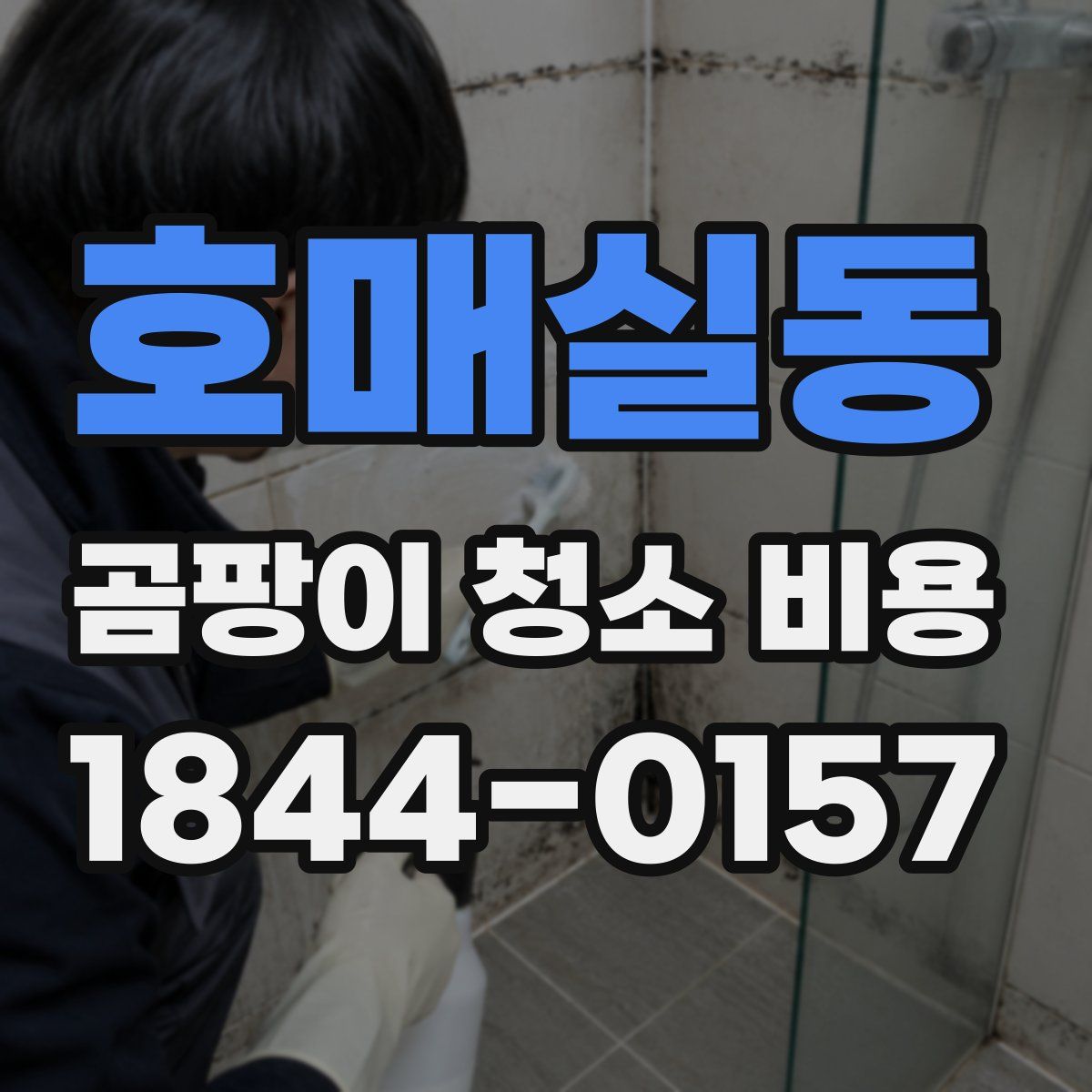 호매실동 곰팡이 청소 비용