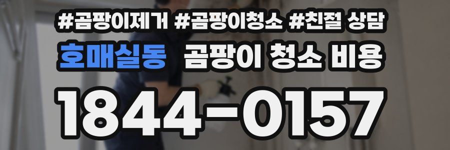 호매실동 곰팡이 청소 비용