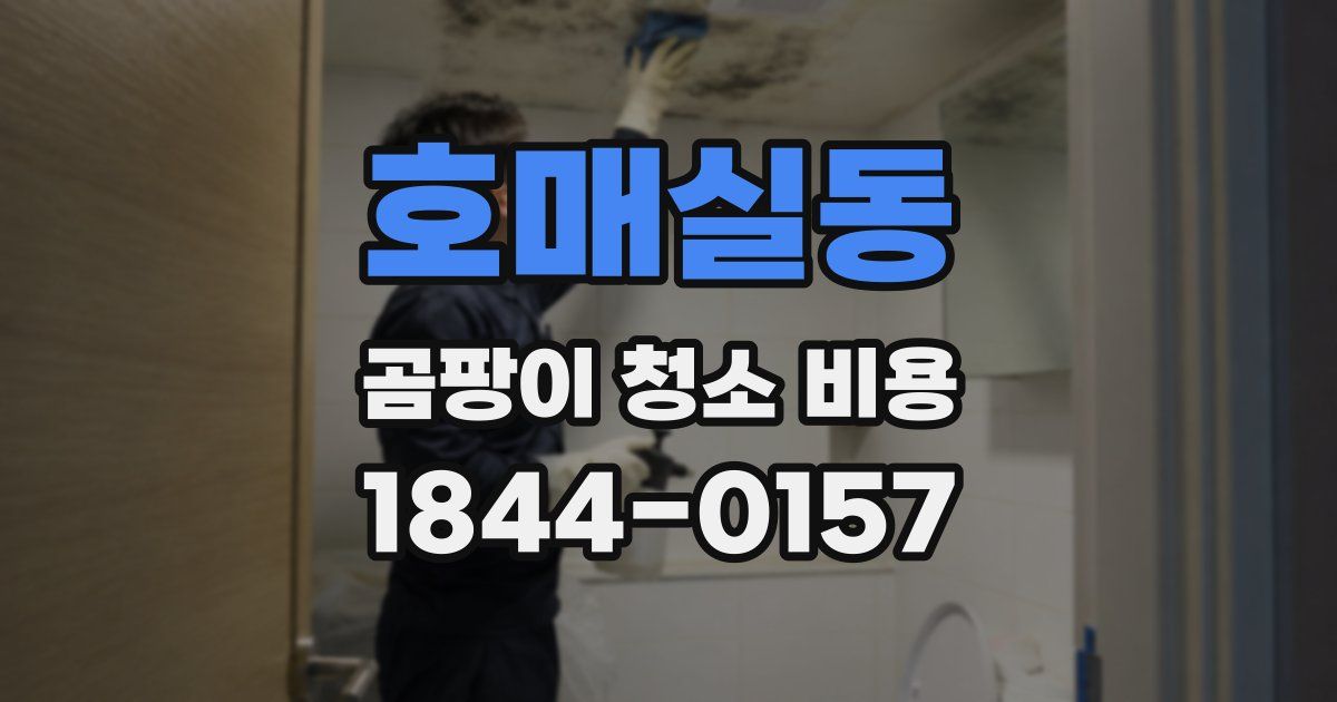 호매실동 곰팡이 청소 비용