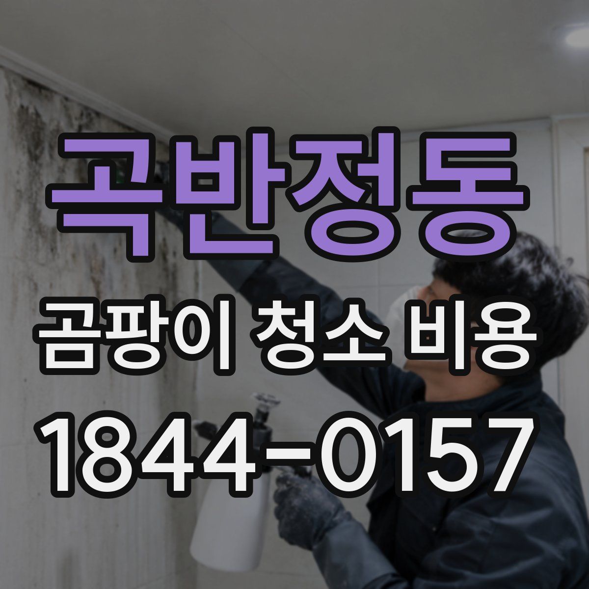 곡반정동 곰팡이 청소 비용