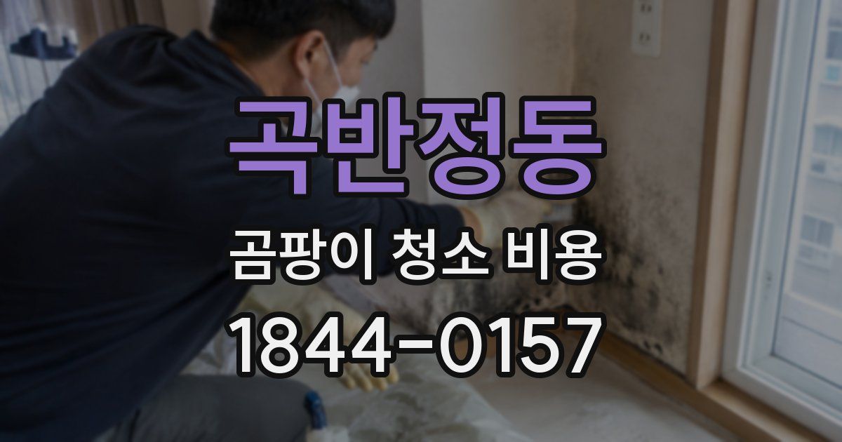 곡반정동 곰팡이 청소 비용
