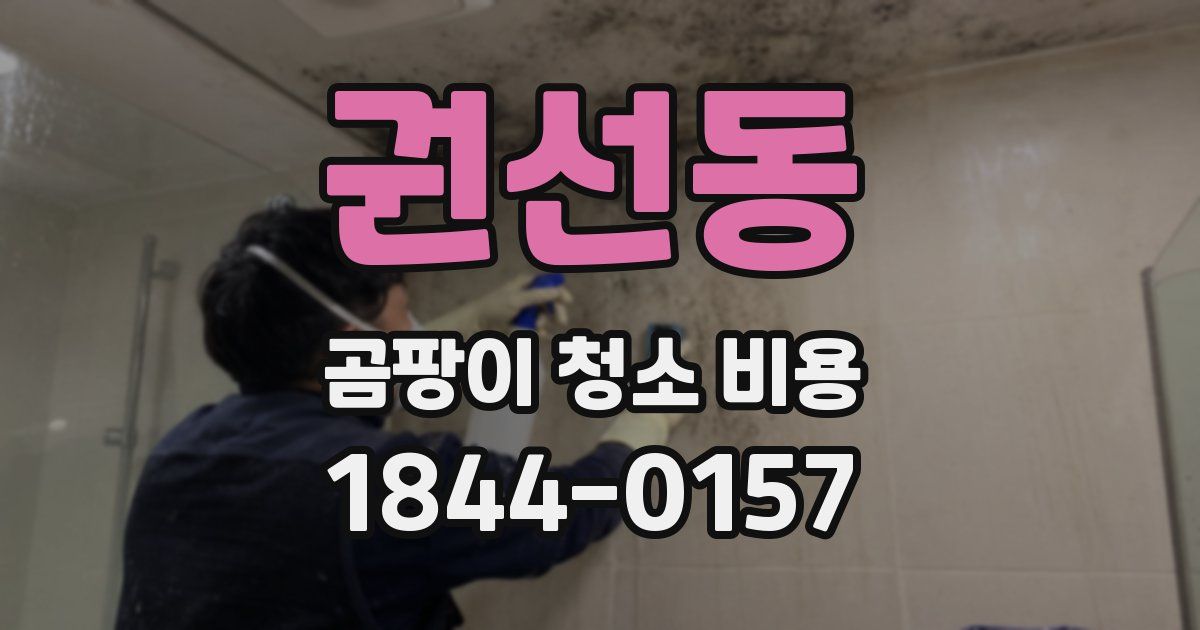 권선동 곰팡이 청소 비용
