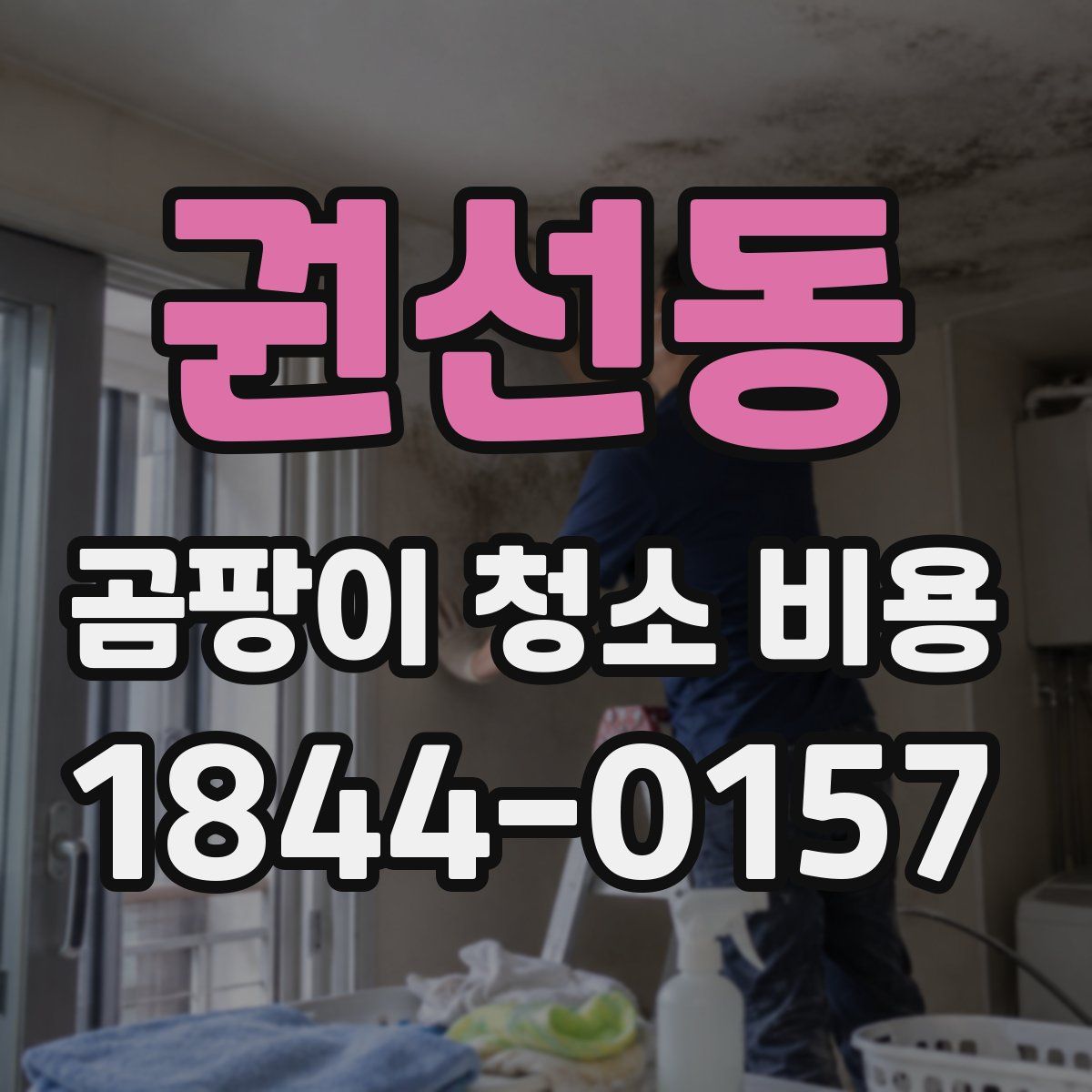 권선동 곰팡이 청소 비용
