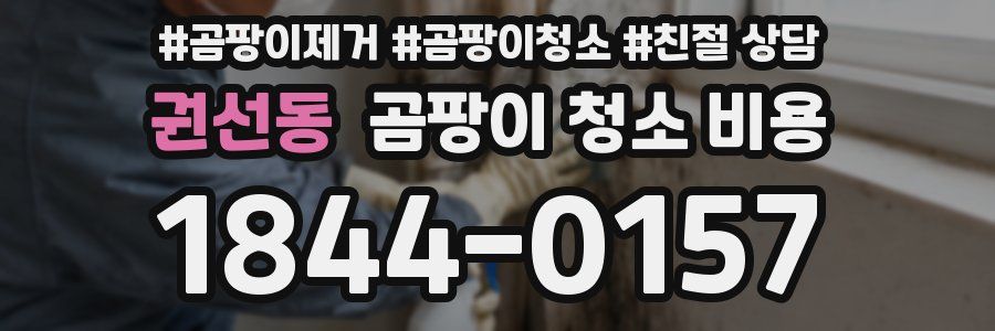 권선동 곰팡이 청소 비용