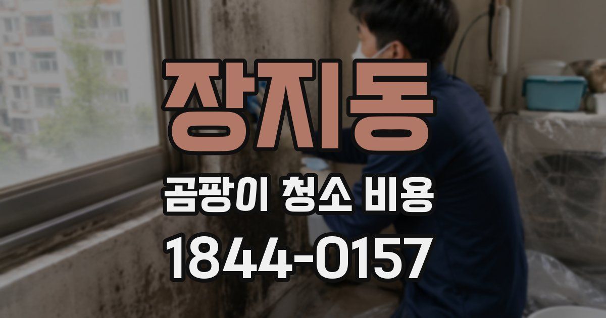 장지동 곰팡이 청소 비용