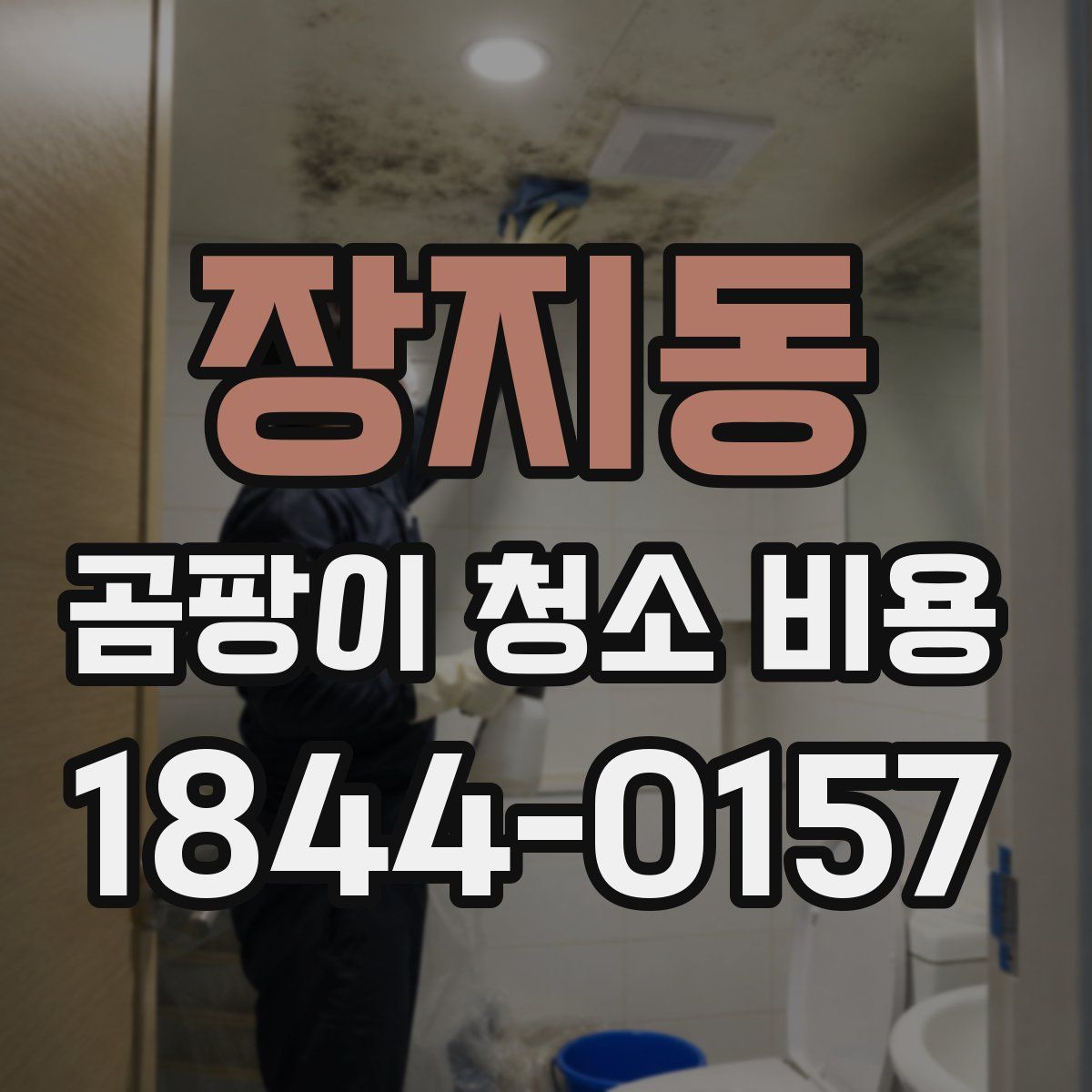 장지동 곰팡이 청소 비용