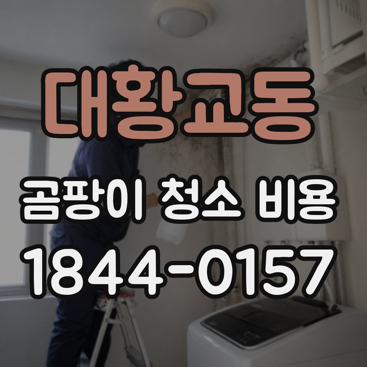 대황교동 곰팡이 청소 비용 비교 시 과다한 항목 피하는 법