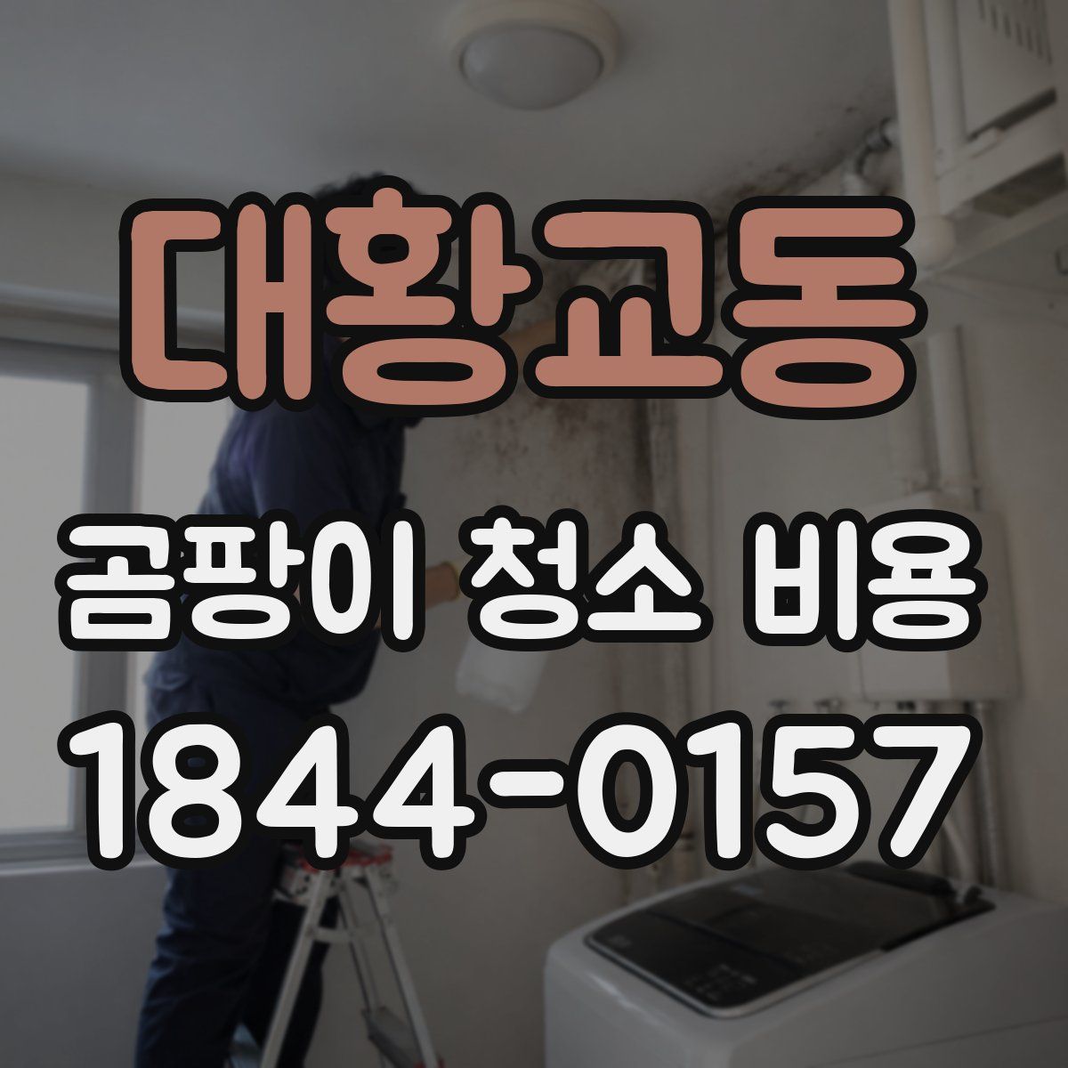 대황교동 곰팡이 청소 비용