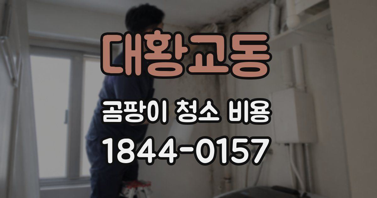 대황교동 곰팡이 청소 비용