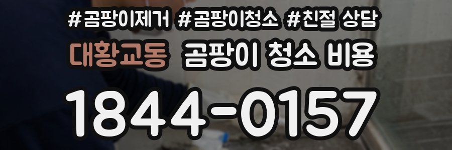 대황교동 곰팡이 청소 비용