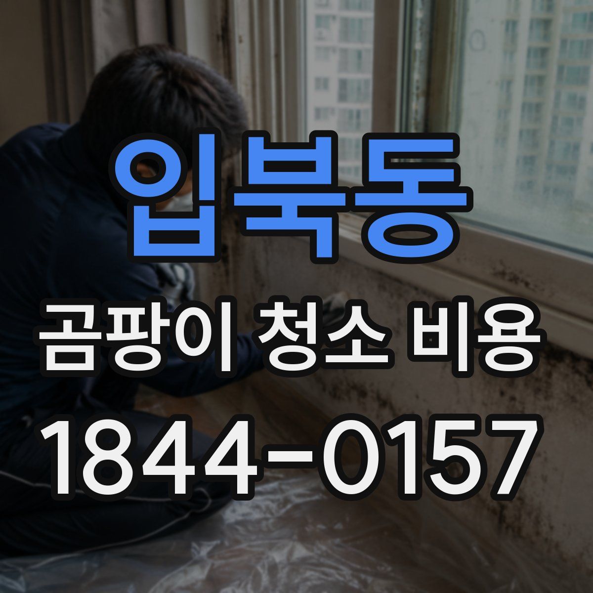 입북동 곰팡이 청소 비용