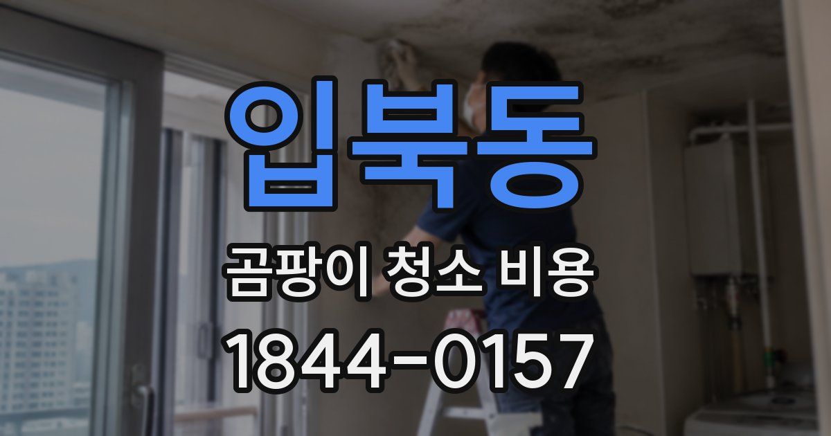 입북동 곰팡이 청소 비용