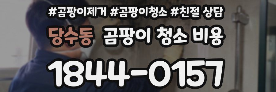 당수동 곰팡이 청소 비용