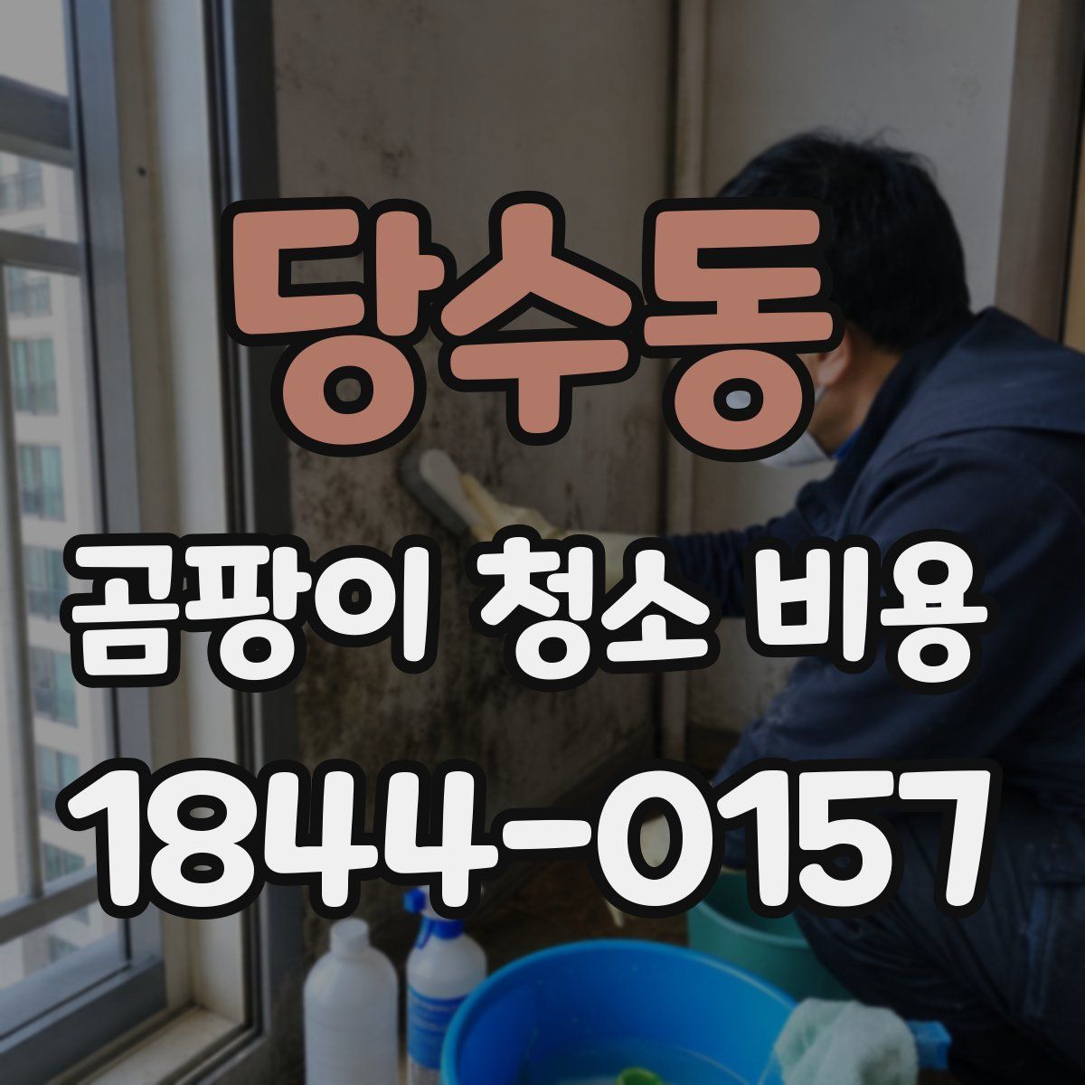 당수동 곰팡이 청소 비용