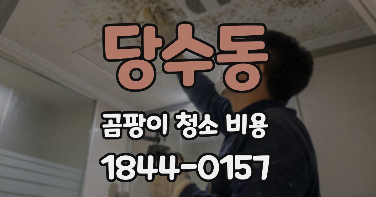 당수동 곰팡이 청소 비용