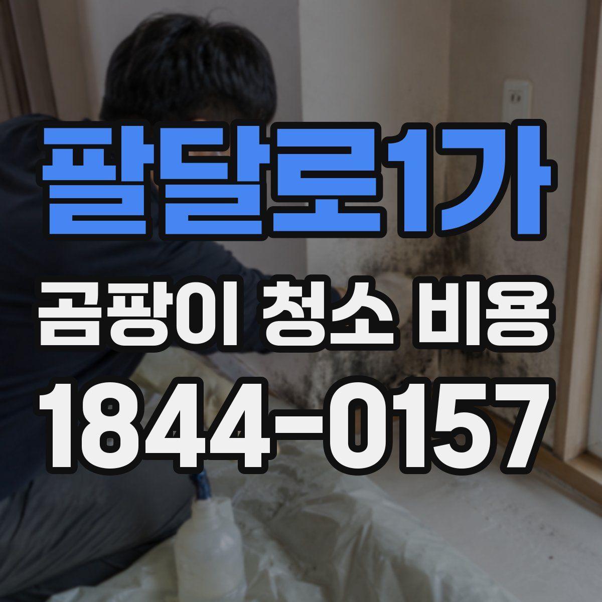 팔달로1가 곰팡이 청소 비용