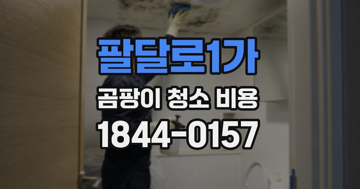 팔달로1가 곰팡이 청소 비용