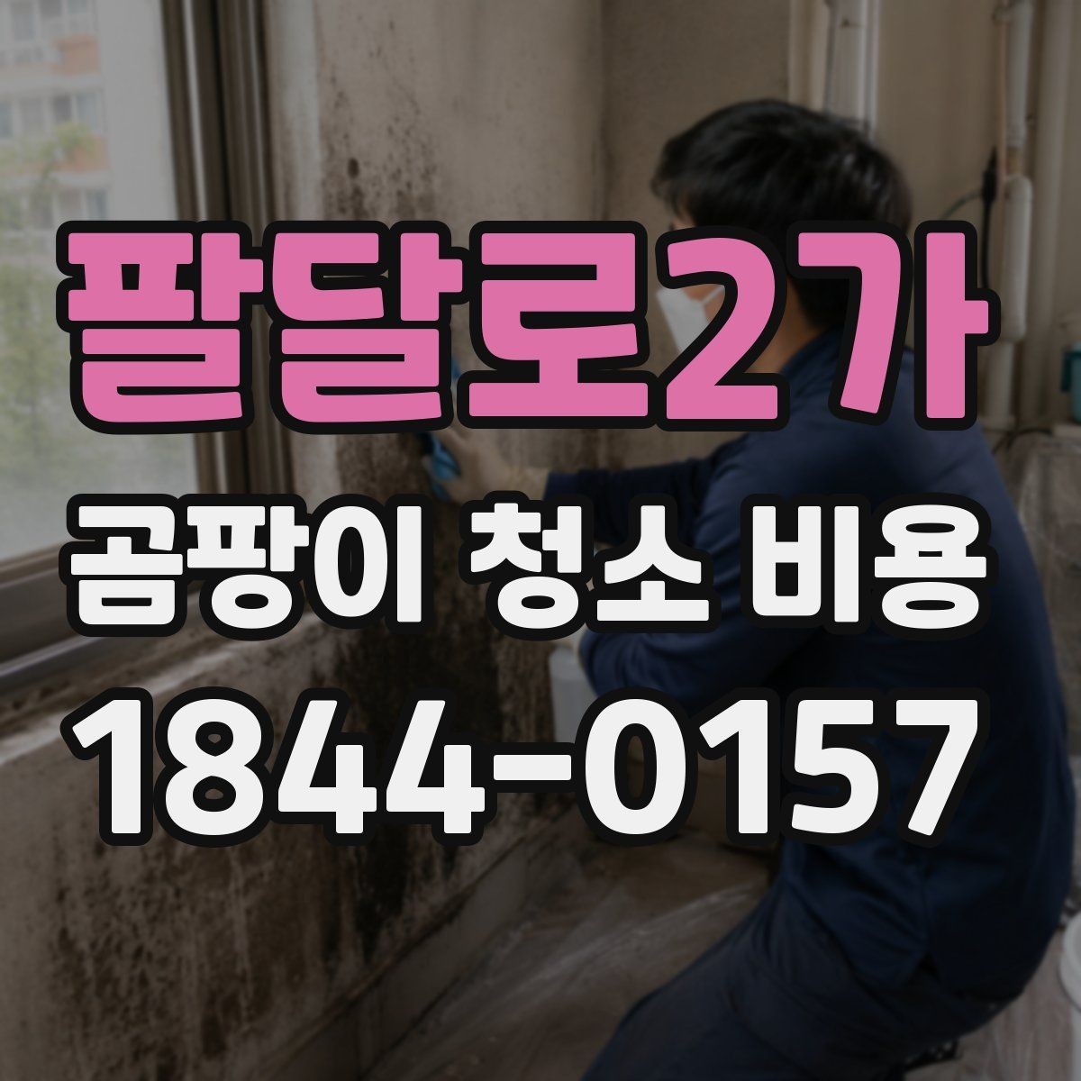 팔달로2가 곰팡이 청소 비용 상담 전에 살펴볼 주의사항
