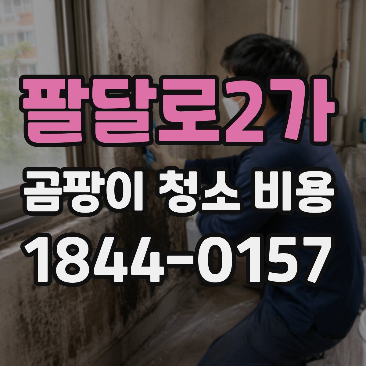 팔달로2가 곰팡이 청소 비용
