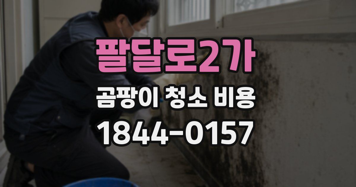 팔달로2가 곰팡이 청소 비용
