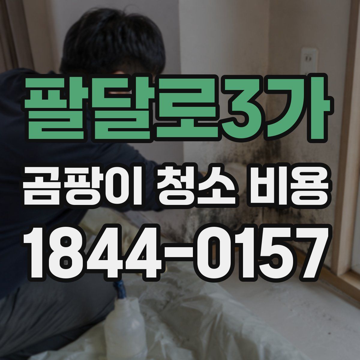 팔달로3가 곰팡이 청소 비용