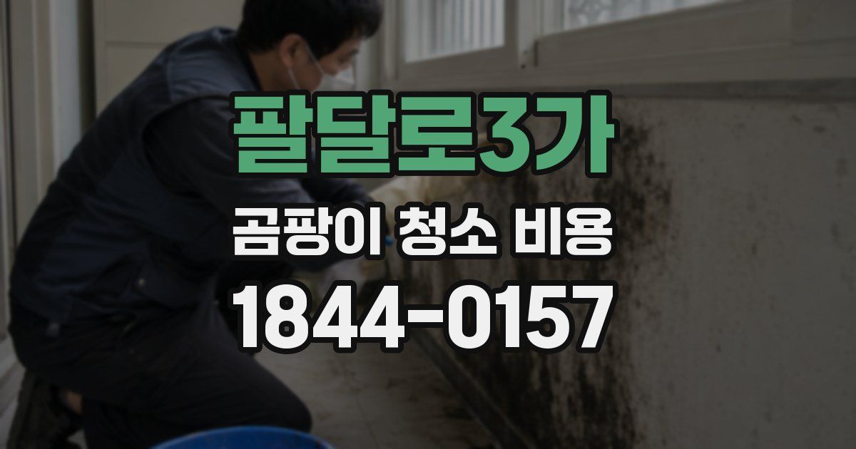 팔달로3가 곰팡이 청소 비용
