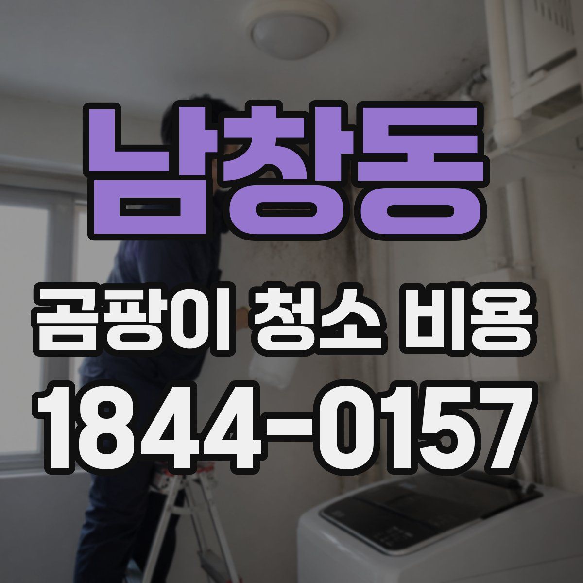 남창동 곰팡이 청소 비용