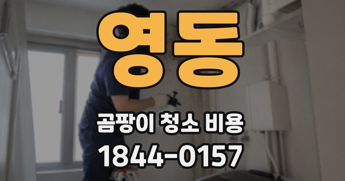 영동 곰팡이 청소 비용