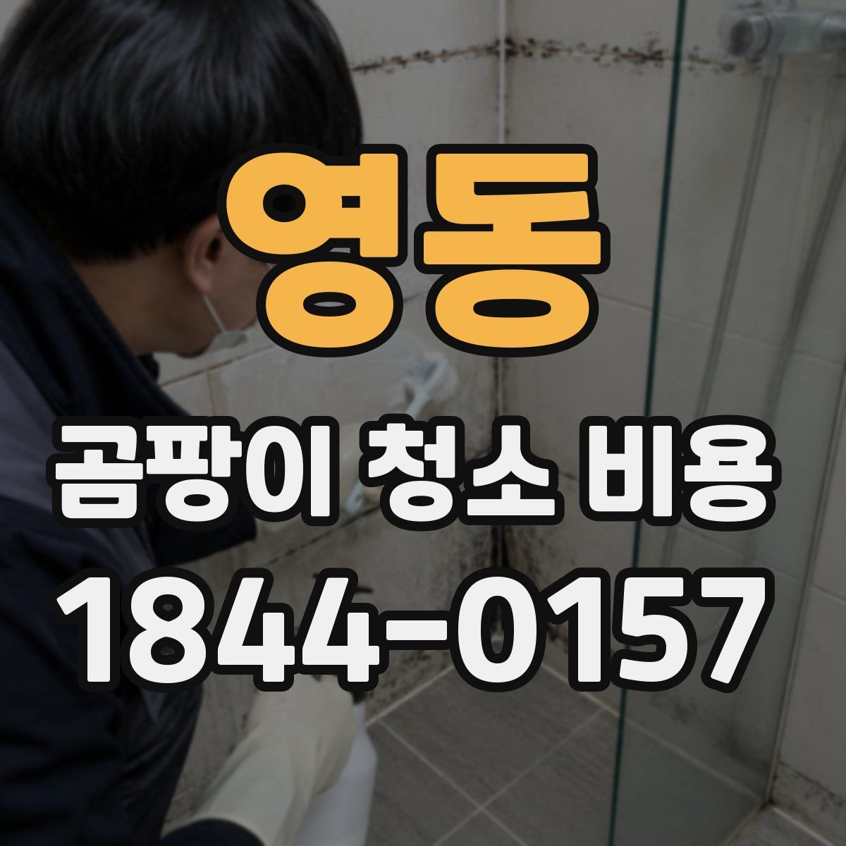 영동 곰팡이 청소 비용