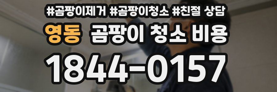 영동 곰팡이 청소 비용