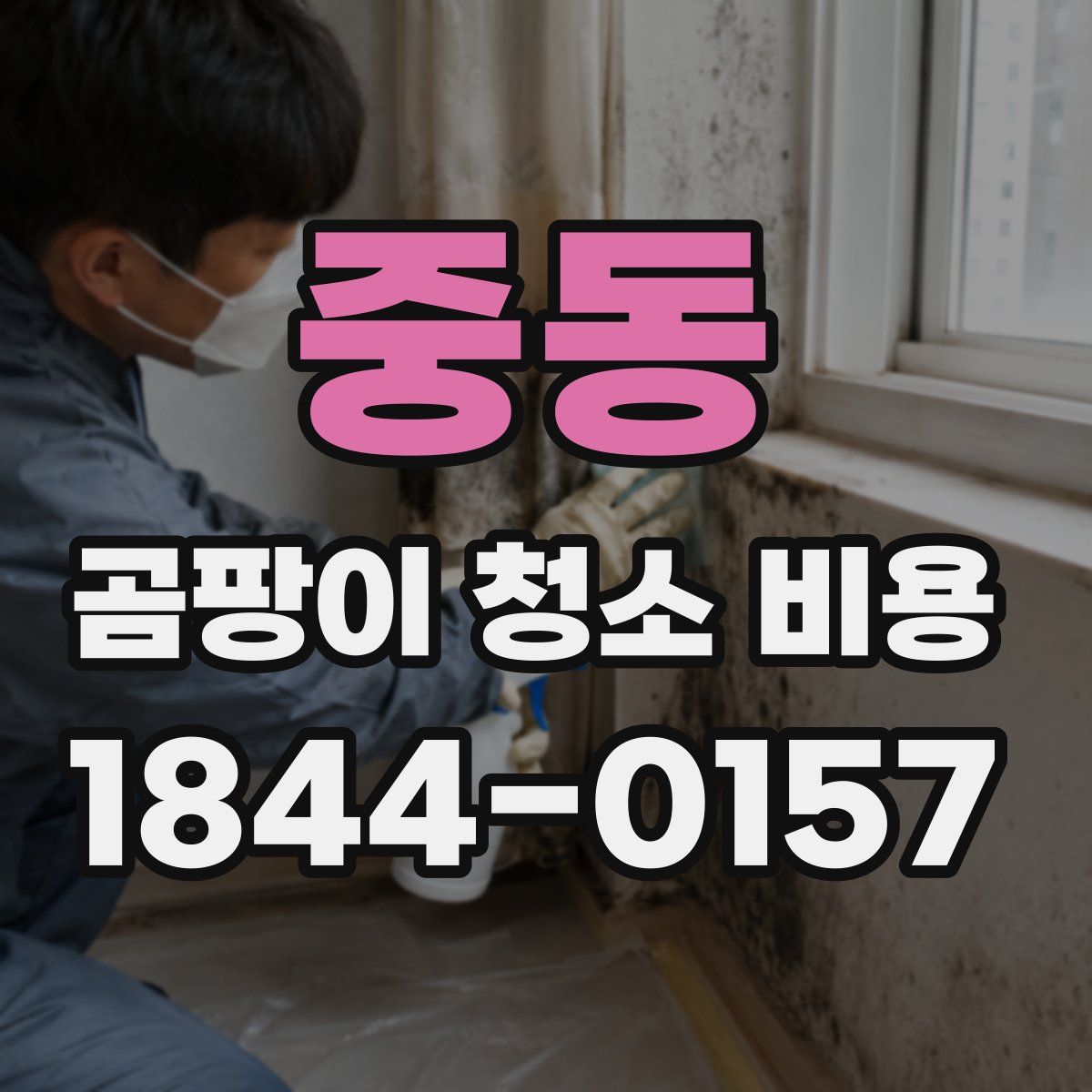 중동 곰팡이 청소 비용