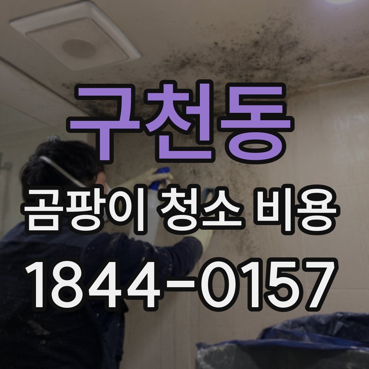 구천동 곰팡이 청소 비용 비교 전에 살펴볼 서비스 범위