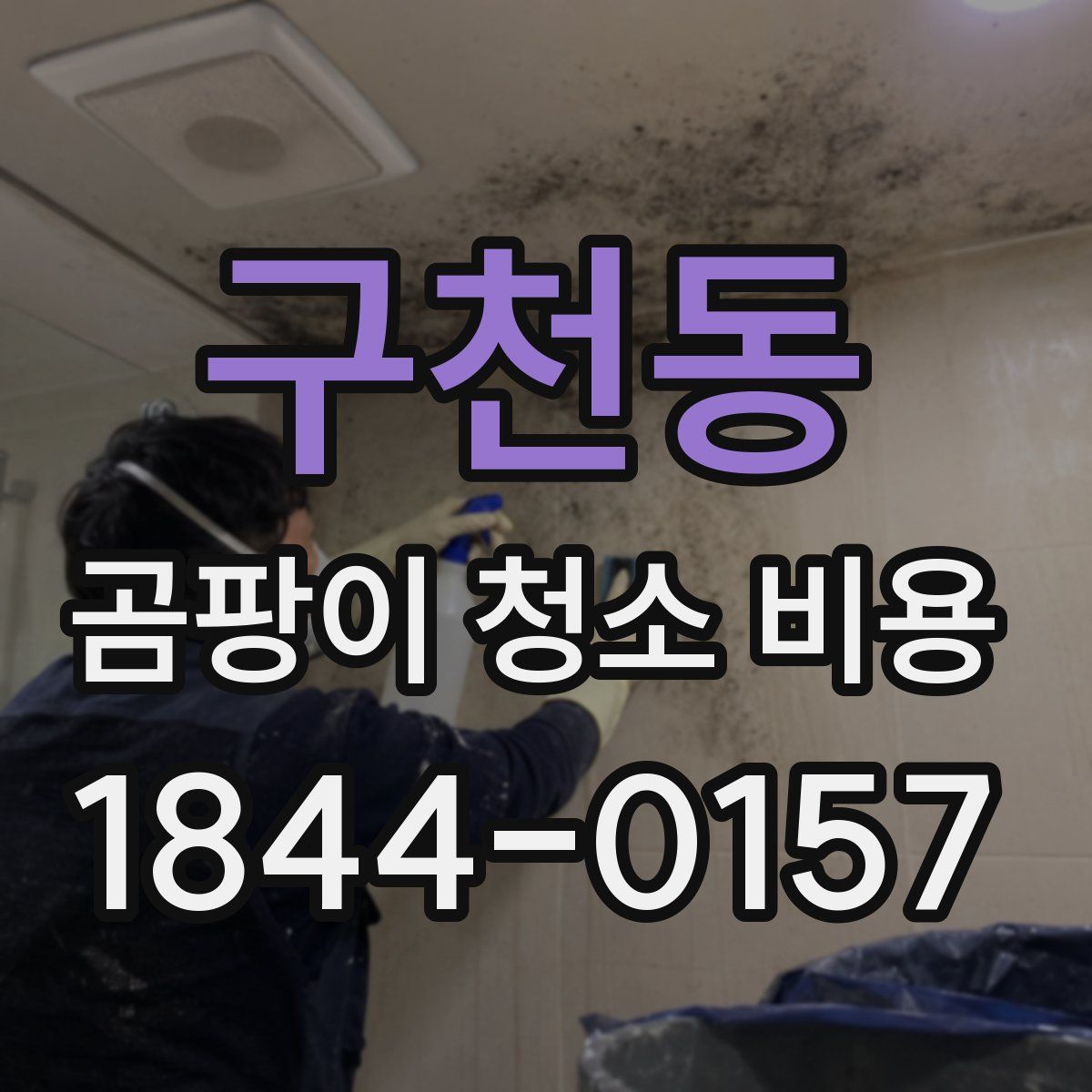 구천동 곰팡이 청소 비용