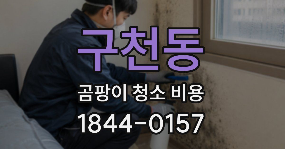 구천동 곰팡이 청소 비용