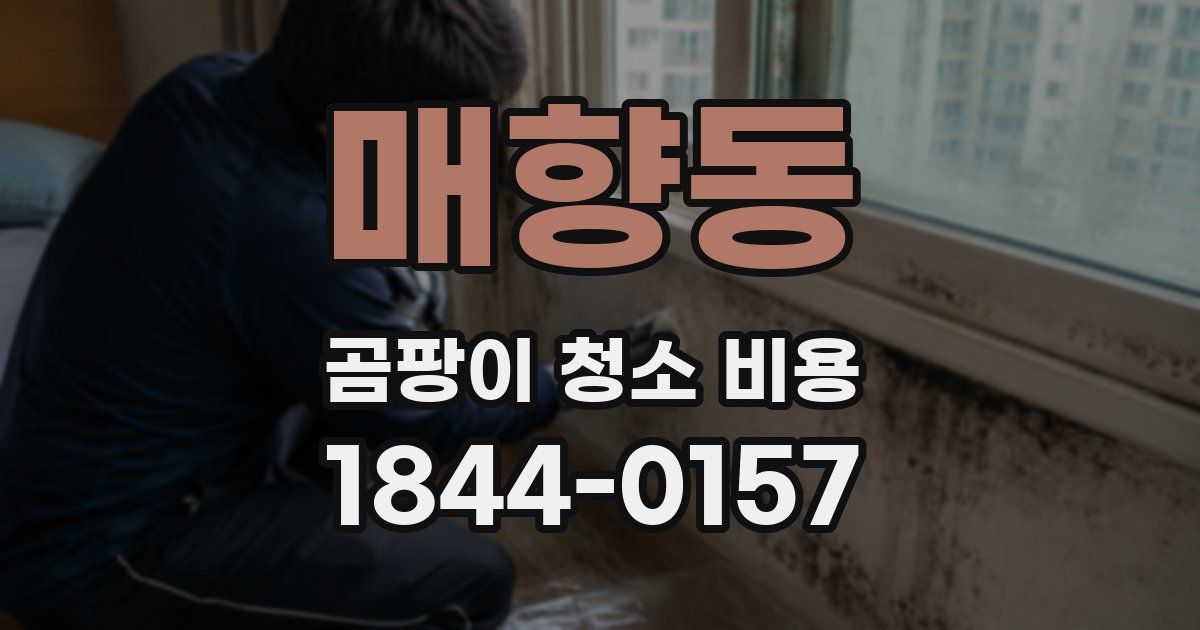 매향동 곰팡이 청소 비용
