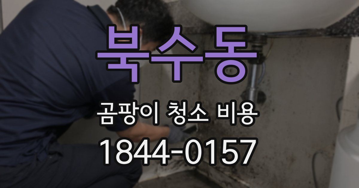 북수동 곰팡이 청소 비용