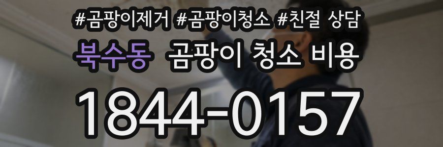 북수동 곰팡이 청소 비용